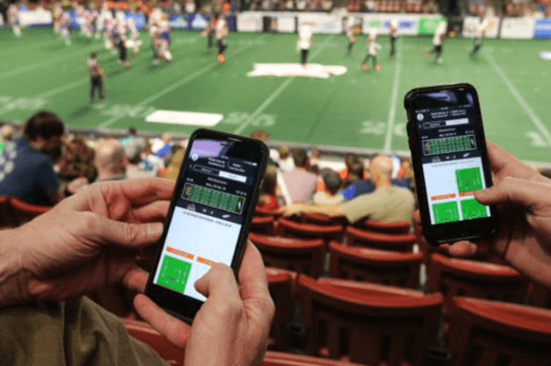 The long-distance cricket fan’s second screen